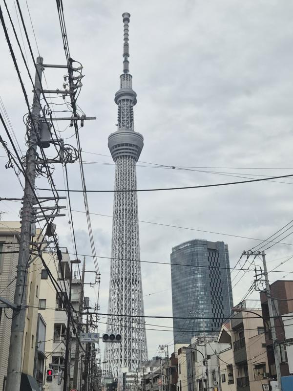 月城 いおのブログ写真