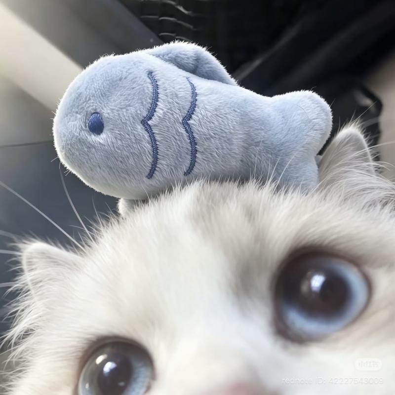 月城 いおのブログ写真