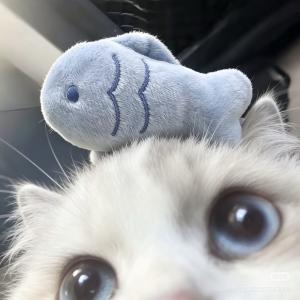 月城 いおのブログ写真