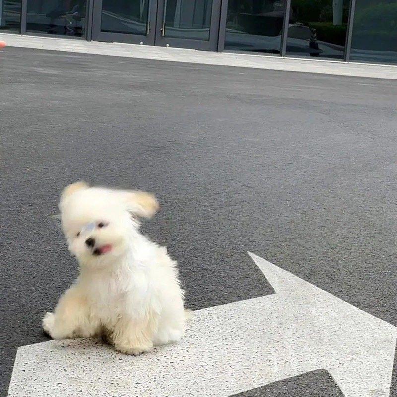 月城 いおのブログ写真