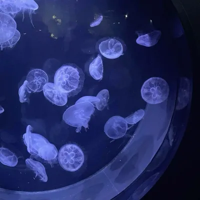 前の記事