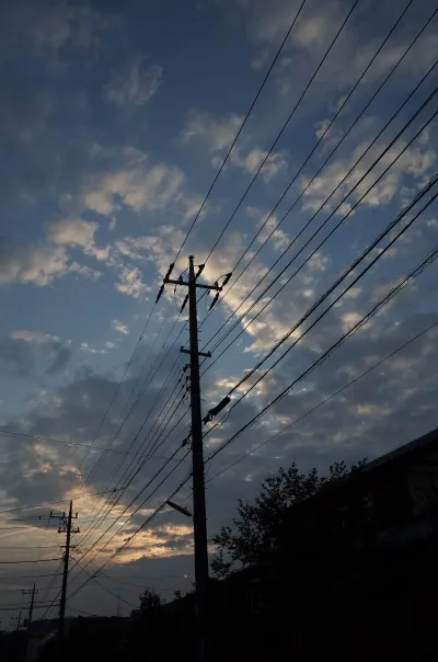 次の記事
