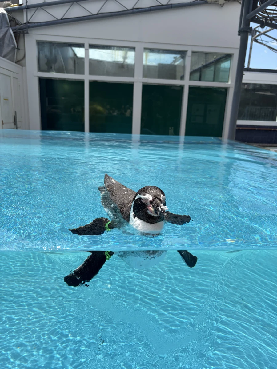 速水 あゆみのブログ写真