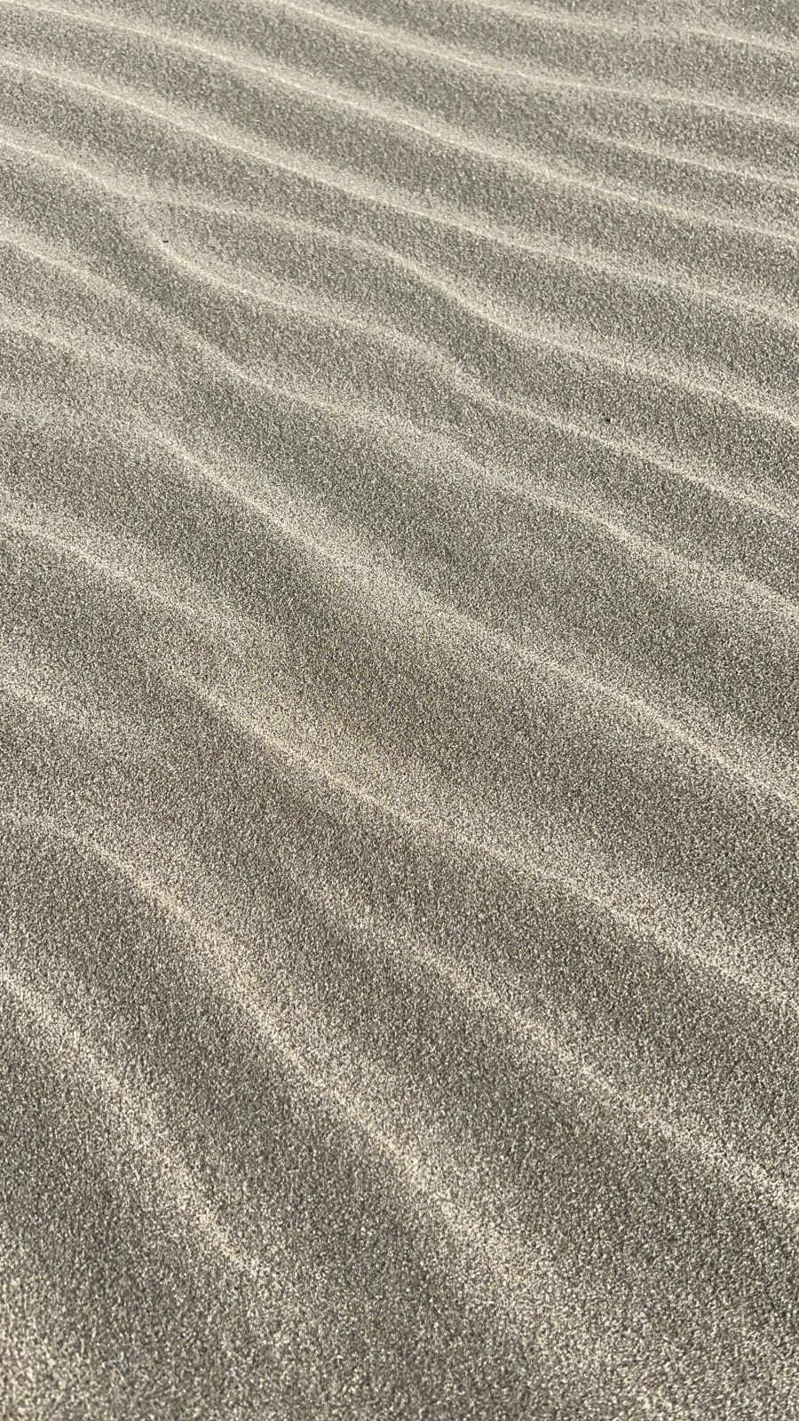 沙月 りなのブログ写真