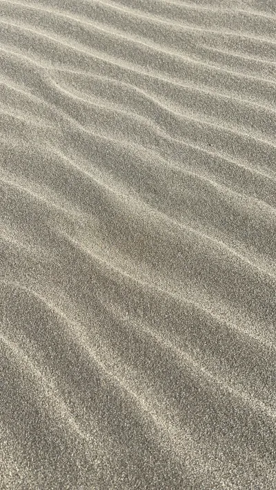 沙月 りなのブログ写真