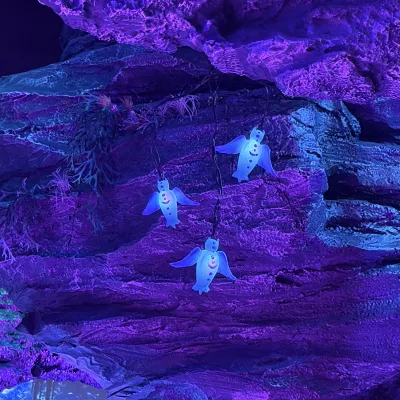 前の記事