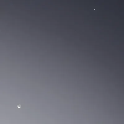 次の記事