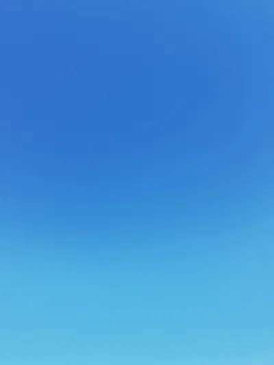 前の記事