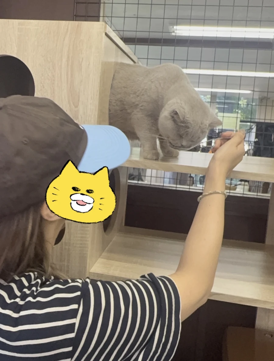 速水 あゆみのブログ写真