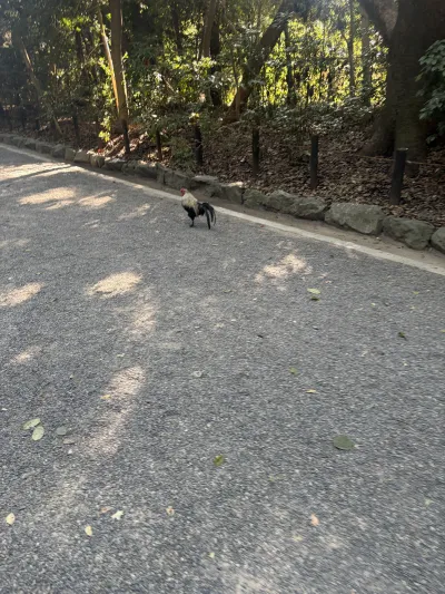 七海 るいのブログ写真