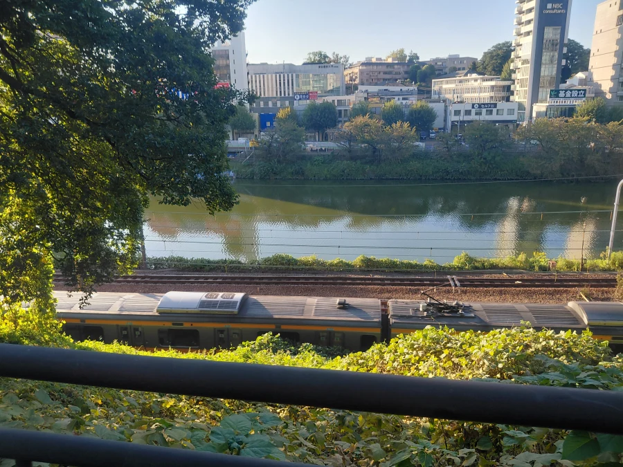 山本 さくらのブログ写真