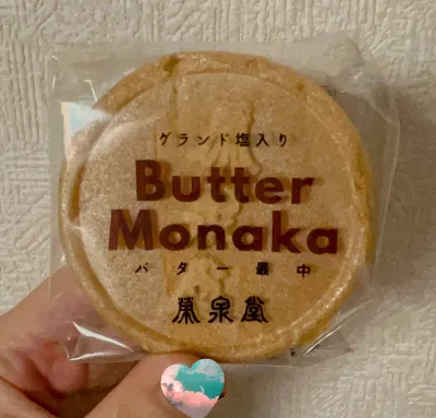 前の記事